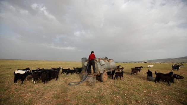 Mehmet Gobut sets up a water tank near Konya, Turkey. When summer comes to southern Turkey, the goats become restless and the Gobut family knows it is time to pack their tents and embark on the long trek north with their herd of 1,000 animals. (Osman Orsal / REUTERS) Mehmet Gobut sets up a water tank near Konya, Turkey. When summer comes to southern Turkey, the goats become restless and the Gobut family knows it is time to pack their tents and embark on the long trek north with their herd of 1,000 animals. (Osman Orsal / REUTERS)