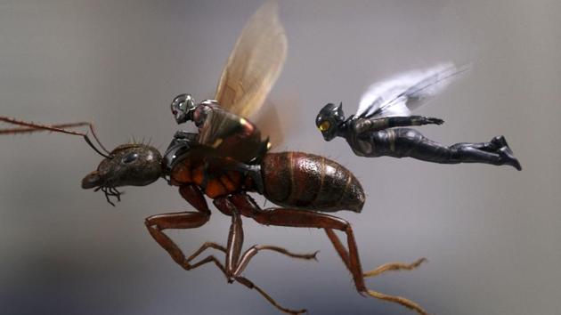 This image released by Marvel Studios shows a scene from Ant-Man and the Wasp.(AP)