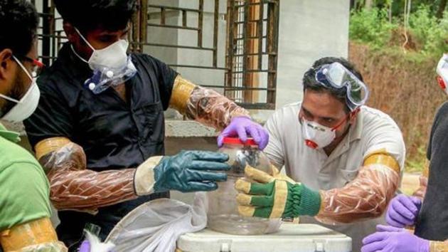 Forest officials collect bats from a well after the outbreak of Nipah virus, near Perambra in Kozhikode. (PTI File Photo) Forest officials collect bats from a well after the outbreak of Nipah virus, near Perambra in Kozhikode. (PTI File Photo)