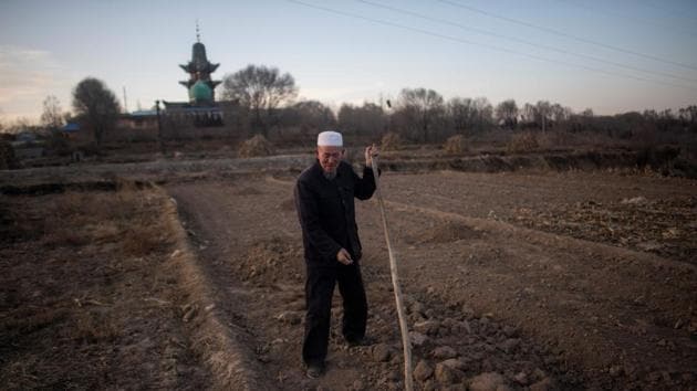 A man works in his field in front of a mosque in the suburbs of Linxia. Another imam said the tense situation in Xinjiang was at the root of changes in Linxia. But many Hui are quick to distinguish themselves from Uighurs. “They believe in Islam too, but they’re violent and bloodthirsty. We’re nothing like that,” said Muslim hairdresser Ma Jiancai, 40, drawing on common stereotypes. (Johannes Eisele / AFP) A man works in his field in front of a mosque in the suburbs of Linxia. Another imam said the tense situation in Xinjiang was at the root of changes in Linxia. But many Hui are quick to distinguish themselves from Uighurs. “They believe in Islam too, but they’re violent and bloodthirsty. We’re nothing like that,” said Muslim hairdresser Ma Jiancai, 40, drawing on common stereotypes. (Johannes Eisele / AFP)