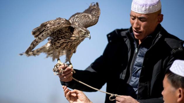 A Hui Muslim man holds a raptor on a rope in the suburbs of Linxia. In January, local officials signed a decree -- obtained by AFP -- pledging to ensure that no individual or organisation would “support, permit, organise or guide minors towards entering mosques for Quranic study or religious activities”, or push them towards religious beliefs. (Johannes Eisele / AFP) A Hui Muslim man holds a raptor on a rope in the suburbs of Linxia. In January, local officials signed a decree -- obtained by AFP -- pledging to ensure that no individual or organisation would “support, permit, organise or guide minors towards entering mosques for Quranic study or religious activities”, or push them towards religious beliefs. (Johannes Eisele / AFP)