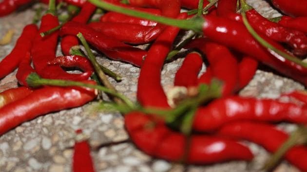 Weight loss drug made of chili pepper is good for a spicy burn