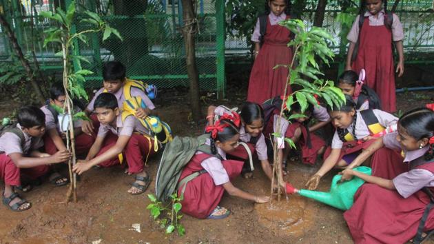 Students of Smt Sulochana Devi Singhania school plant trees in the school premises along with the students of Pandit School, a tribal school in Yeoor.(HT Photo)