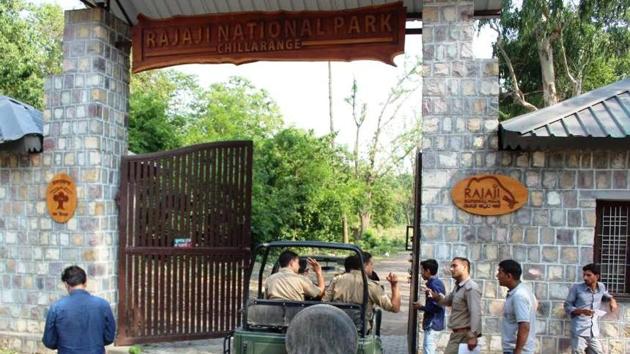 The video was short of a party in the staff quarters located in Chillawali range of the reserve. (HT File Photo) The video was short of a party in the staff quarters located in Chillawali range of the reserve. (HT File Photo)