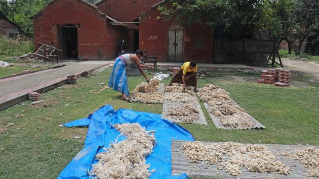 Workers air dry mulberry cocoons before they are cooked and reeled into yarn. The government is now attempting to resurrect the factory and boost silk production in the state. In the first stage they have started reeling silk on five machines with 30 basins which were installed in one of the filatures in 1999 but have remained unused. (Waseem Andrabi / HT Photo) Workers air dry mulberry cocoons before they are cooked and reeled into yarn. The government is now attempting to resurrect the factory and boost silk production in the state. In the first stage they have started reeling silk on five machines with 30 basins which were installed in one of the filatures in 1999 but have remained unused. (Waseem Andrabi / HT Photo)