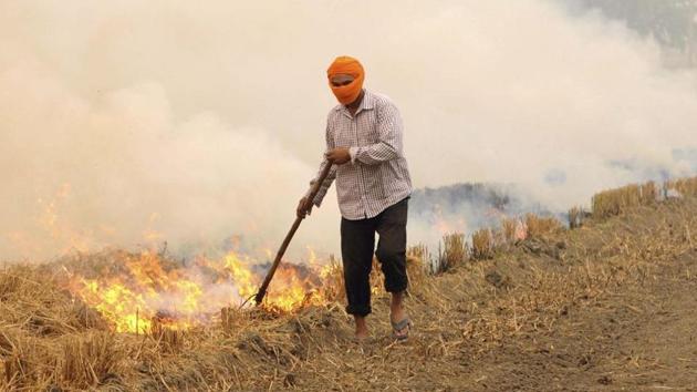 There was an improvement even during the wheat harvesting season this year. As compared to 15,378 cases of stubble burning in 2017, the 2018 season had only 11,095 reported cases, translating to a drop of 28%. (HT File) There was an improvement even during the wheat harvesting season this year. As compared to 15,378 cases of stubble burning in 2017, the 2018 season had only 11,095 reported cases, translating to a drop of 28%. (HT File)