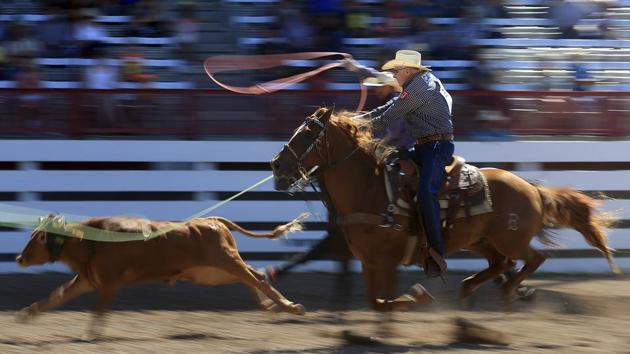 Chuck Doebbler and Randal Eggemeyer compete during the team roping slack event at the Frontiers Day Rodeo at Frontier Park. Blaine McCartney in Cheyenne, Wyoming. (Blaine McCartney / The Wyoming Tribune Eagle via AP) Chuck Doebbler and Randal Eggemeyer compete during the team roping slack event at the Frontiers Day Rodeo at Frontier Park. Blaine McCartney in Cheyenne, Wyoming. (Blaine McCartney / The Wyoming Tribune Eagle via AP)