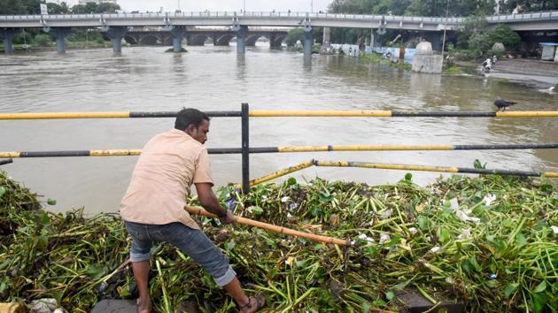 With rivers in full flow, this PMC worker took the chance to rid the water bodies of hyacinth at Bhide bridge, given the levels of the Mutha river had risen substantially due to water being discharged from the Khadakwasla dam. (Sanket Wankhade/HT PHOTO) With rivers in full flow, this PMC worker took the chance to rid the water bodies of hyacinth at Bhide bridge, given the levels of the Mutha river had risen substantially due to water being discharged from the Khadakwasla dam. (Sanket Wankhade/HT PHOTO)