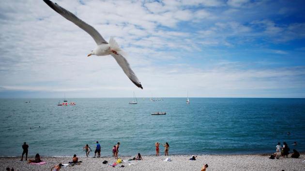 A seagull flies over beachgoers on the coast at Etretat, north-western France. (Charly Triballeau / AFP) A seagull flies over beachgoers on the coast at Etretat, north-western France. (Charly Triballeau / AFP)