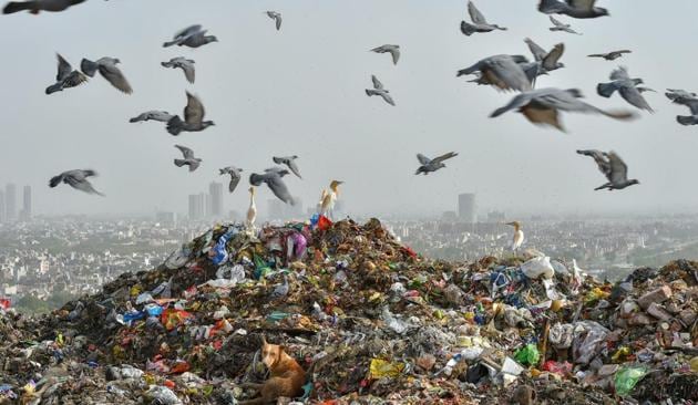India generates over 150,000 tonnes of municipal solid waste (MSW) per day. According to the World Bank, India’s daily waste generation will reach 377,000 tonnes by 2025.(PTI)