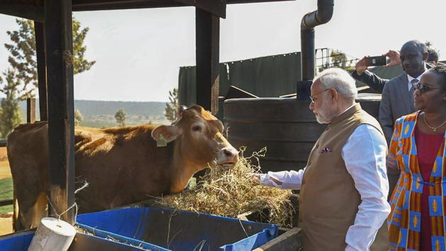 India has extended lines of credit (LoCs) worth $200 million to Rwanda as Prime Minister Narendra Modi announced that the first Indian diplomatic mission will be opened in the East African nation. Modi gifted 200 cows in a symbolic gesture to villagers in Rwanda’s Rweru model village under the Rwandan Government’s Girinka Programme. (PIB / PTI)