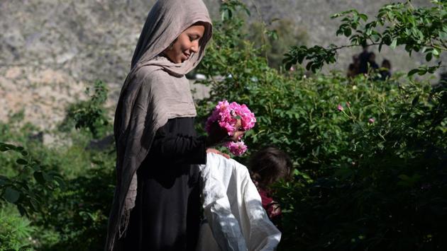 In 2016, 50 farmers working for him packed up and abandoned their crops in Achin district after it became an IS stronghold. “You can deal with the Taliban, but you can’t mess with Daesh,” Orzala said, using the Arabic name for IS. (Noorullah Shirzada / AFP) In 2016, 50 farmers working for him packed up and abandoned their crops in Achin district after it became an IS stronghold. “You can deal with the Taliban, but you can’t mess with Daesh,” Orzala said, using the Arabic name for IS. (Noorullah Shirzada / AFP)