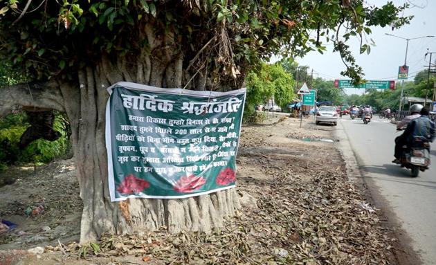 The over 200-year-old tree is set to be chopped down to allow the widening of a road leading to the Cantonment from Subhani Khera in Telibagh.(HT Photo)