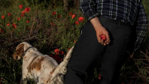 Juan Martin Colomer, 84, goes for a walk with one of his dogs in the village. (Susana Vera / REUTERS) Juan Martin Colomer, 84, goes for a walk with one of his dogs in the village. (Susana Vera / REUTERS)