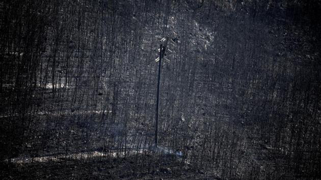 An electricity pole stands among burnt trees following a wildfire in Neos Voutzas, near Athens, Greece on July 25, 2018. (Alkis Konstantinidis / REUTERS) An electricity pole stands among burnt trees following a wildfire in Neos Voutzas, near Athens, Greece on July 25, 2018. (Alkis Konstantinidis / REUTERS)