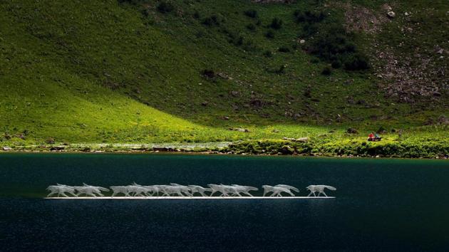 "Wolf Pack" ("Meute de Loups") by Swiss artists Lara and Olivier Estoppey is pictured on Lac Lioson during the Ailyos Art Nature exhibition at Les Mosses, Switzerland on July 23, 2018. (Denis Balibouse / REUTERS) "Wolf Pack" ("Meute de Loups") by Swiss artists Lara and Olivier Estoppey is pictured on Lac Lioson during the Ailyos Art Nature exhibition at Les Mosses, Switzerland on July 23, 2018. (Denis Balibouse / REUTERS)