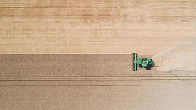 A farmer harvests a wheat field with a combine harvester near Hildesheim, northern Germany on July 23, 2018. (Julian Stratenschulte / AFP) A farmer harvests a wheat field with a combine harvester near Hildesheim, northern Germany on July 23, 2018. (Julian Stratenschulte / AFP)