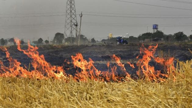 Burning of agriculture waste is one of the reasons for high aerosol levels.(HT FILE)