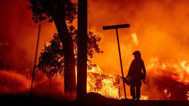 A firefighter lights backfires during the Carr fire in Redding, California on July 27. (AFP Photo) A firefighter lights backfires during the Carr fire in Redding, California on July 27. (AFP Photo)