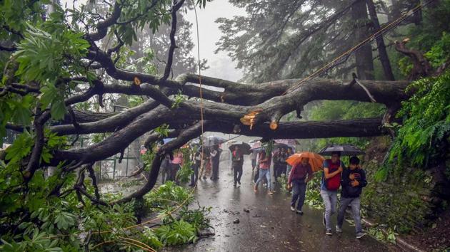 An uprooted tree falls in a road following monsoon rainfall, in Shimla on Saturday, July 28, 2018.(PTI File Photo) An uprooted tree falls in a road following monsoon rainfall, in Shimla on Saturday, July 28, 2018.(PTI File Photo)