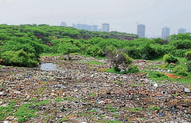 An illegal garbage dump has been growing for over six months in the Aravalli forest between Behrampur and Kadarpur villages of Gurugram district even as activists have raised the issue multiple times with MCG and forest department.(Parveen Kumar/ HT Photo)