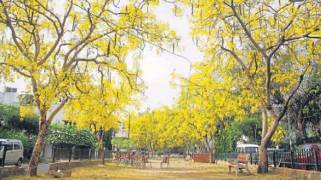 BK Dutt Colony is named after Batukeshwar Dutt, a freedom fighter who, along with the celebrated revolutionary Bhagat Singh, bombed the Central Legislative Assembly during British rule.(HT Photo)