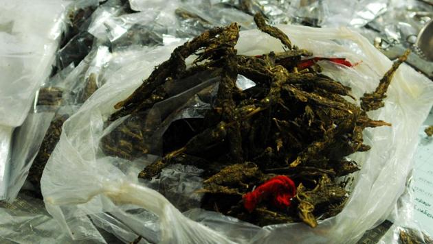 Officials said the arrested men got marijuana from local peddlers in exchange for the synthetic drug they supplied to their clients. (Image used for representational purposes)(Parwaz Khan / HT File Photo)