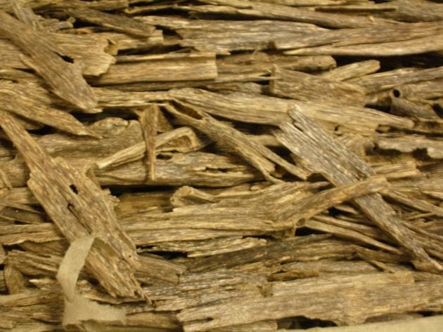 HT had reported that 525 kg of agarwood was seized in the state in seven months HT had reported that 525 kg of agarwood was seized in the state in seven months