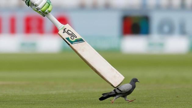 England’s Keaton Jennings tries to distract a pigeon during the first day of the first test match between England and India at Edgbaston, Birmingham on August 01, 2018. (Andrew Boyers / Action Images via Reuters) England’s Keaton Jennings tries to distract a pigeon during the first day of the first test match between England and India at Edgbaston, Birmingham on August 01, 2018. (Andrew Boyers / Action Images via Reuters)