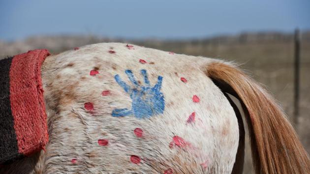 Horses, sacred to the Lakota, eat before people, so early each day they were fed and watered. From Green Grass they rode through the Cheyenne River Reservation to a Native American settlement called Bridger. People in each community brought food for the riders. (Stephanie Keith / REUTERS)