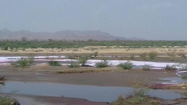 The Rajasthan high court had banned the discharge of treated or untreated effluent in the Luni river in 2012.(HT)