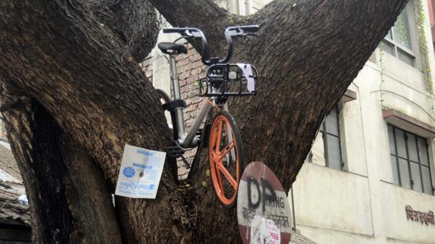 An unknown person decided to ensure that the cycle is in a safe environment and kept it on top of a tree in Sadashiv peth on Tuesday. (Ravindra Joshi/HT PHOTO)