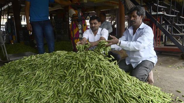 However, prices of other vegetables remained stable for the fourth consecutive week, following good rainfall in Maharashtra. (Ravindra Joshi/HT Photo) However, prices of other vegetables remained stable for the fourth consecutive week, following good rainfall in Maharashtra. (Ravindra Joshi/HT Photo)