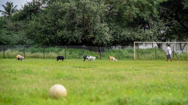 The PDFA ground in Dobarwadi is in very poor condition affecting the Subroto Cup games being played in the city. (Sanket Wankhade/HT PHOTO) The PDFA ground in Dobarwadi is in very poor condition affecting the Subroto Cup games being played in the city. (Sanket Wankhade/HT PHOTO)
