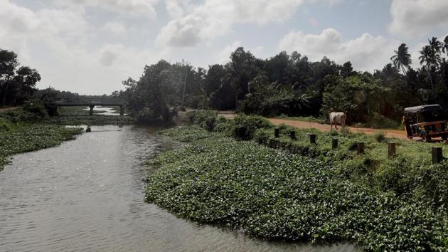 Ernakulam district administration officials said relief camps have been opened in Choornikkara and Kombanad villages as it is anticipated that the release of water may cause inundation in these areas. (HT File Photo/Representative image) Ernakulam district administration officials said relief camps have been opened in Choornikkara and Kombanad villages as it is anticipated that the release of water may cause inundation in these areas. (HT File Photo/Representative image)