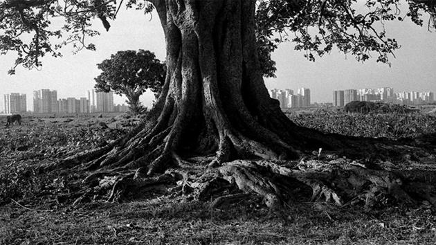 The contrast -- and the nexus – of the two sets of panoramic photographs from Hampi and Newtown make for a thought-provoking connection across the ages. (Rajib De) The contrast -- and the nexus – of the two sets of panoramic photographs from Hampi and Newtown make for a thought-provoking connection across the ages. (Rajib De)