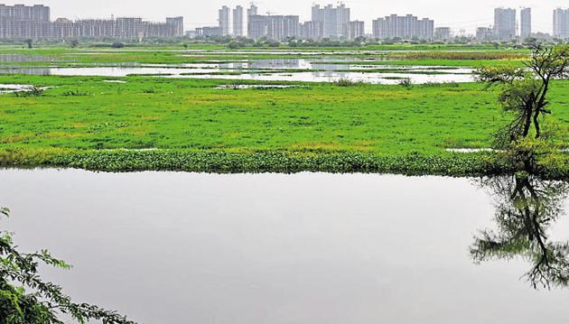 After a search of around two hours by professional divers, the baby’s body was found below the flyover of Najafgarh drain at Sector 16-B Dwarka.(Vipin Kumar/HT File Photo)