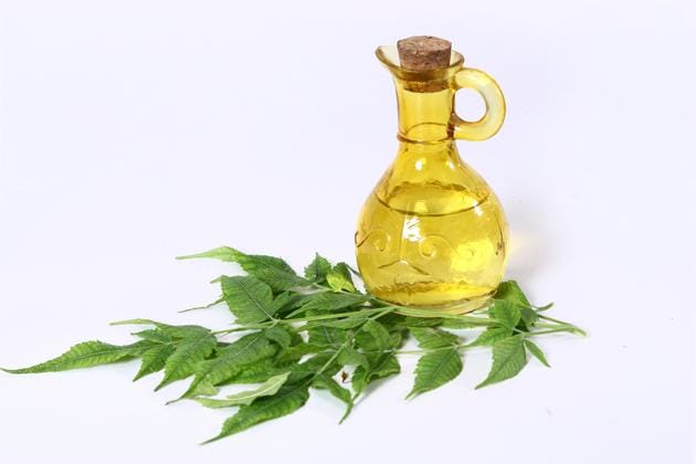 Both Ayurveda and modern studies have proved that neem holds the cure for several diseases and health issues(Shutterstock)