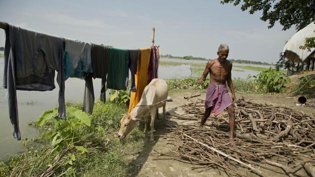 While Muslims appear to dominate those left off the NRC, they aren’t the only people facing a bureaucratic gauntlet. “I don’t know about politics. I am a poor man. I work all day, eat, and sleep at night. I don’t go anywhere else,” said Khitish Namo Das, 50, a Hindu farmer who insists he was born in India and whose family of eight, except for one daughter-in-law, is now considered illegal. (Anupam Nath / AP)