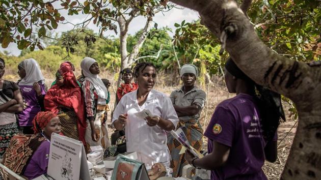 In the shadow of a mango tree in the northern village of Namissica, a dozen women crowd around a table to watch a nurse demonstrate how to use different contraceptives, with the help of a wooden model penis and a plastic vagina. If their husbands are “not cooperative”, nurse Fatima da Silva Cobre advises women to opt for a birth control implant. “He won’t know you’re using it,” she said. (Gianluigi Guercia / AFP) In the shadow of a mango tree in the northern village of Namissica, a dozen women crowd around a table to watch a nurse demonstrate how to use different contraceptives, with the help of a wooden model penis and a plastic vagina. If their husbands are “not cooperative”, nurse Fatima da Silva Cobre advises women to opt for a birth control implant. “He won’t know you’re using it,” she said. (Gianluigi Guercia / AFP)