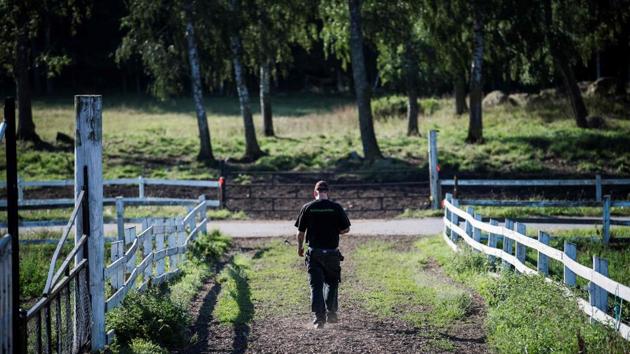 Sweden has more than a dozen open prisons across the country. Closing the fence to the meadow after he finishes milking the cows, Alfred jokes that the cows are more locked up than the prisoners. The inmates work 35 hours per week with two days off and are paid 13 kronor (1.2 euros, $1.15) an hour. (Jonathan Nackstrand / AFP) Sweden has more than a dozen open prisons across the country. Closing the fence to the meadow after he finishes milking the cows, Alfred jokes that the cows are more locked up than the prisoners. The inmates work 35 hours per week with two days off and are paid 13 kronor (1.2 euros, $1.15) an hour. (Jonathan Nackstrand / AFP)