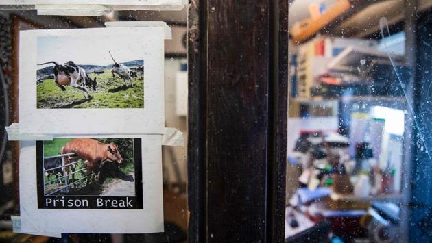 “It’s our system for bringing people out into society in a good way, so they don’t come back to prison again,” Britt-Marie Johansson, head of the Rodjan institution, told AFP. As in all penitentiaries across Sweden, inmates have their own cells. At Rodjan, they’re unlocked. There are no security cameras, no gates, no barbed wire, and inmates are allowed to move about freely. (Jonathan Nackstrand / AFP) “It’s our system for bringing people out into society in a good way, so they don’t come back to prison again,” Britt-Marie Johansson, head of the Rodjan institution, told AFP. As in all penitentiaries across Sweden, inmates have their own cells. At Rodjan, they’re unlocked. There are no security cameras, no gates, no barbed wire, and inmates are allowed to move about freely. (Jonathan Nackstrand / AFP)