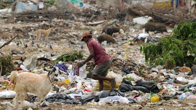 A garbage dump at Sector 29 in Gurugram.(Parveen Kumar/ HT Photo)