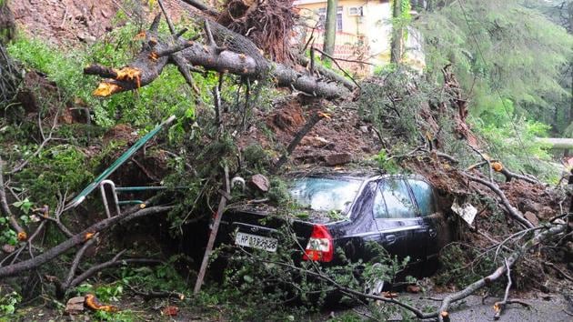 Uprooted trees damaged vehicles parked along the road due to heavy rain at Jakhoo, Shimla on Monday. (HT Photo) Uprooted trees damaged vehicles parked along the road due to heavy rain at Jakhoo, Shimla on Monday. (HT Photo)