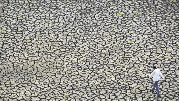 Three out of every five districts in India are not prepared for a drought, says a study by the Indian Institutes of Technology at Indore and Guwahati, highlighting the need for effective agriculture and water management. Using data from NASA the two members found that only 241 of the 634 districts, or 38%, were resilient to droughts. The study considered daily rainfall records from 1901 to 2015 by the India Meteorological Department. (Anshuman Poyrekar / HT File) 