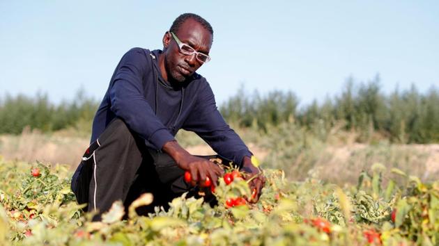 “I arrived in Italy on August 26, 2013. I haven’t created any problem, I don’t have a criminal record, I didn’t come here for fun. I just want to work,” said Sutay Darboe, 42, from Senegal. “Do Italians have any idea how we are treated? Do they even care?” he said, taking a precious day off work to travel around various hospital morgues looking for the body of a relative of his who died in the August 6 crash. (Alessandro Bianchi / REUTERS) 