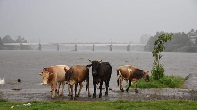 The police on Thursday said that one person was killed and three others seriously injured in an attack by a mob over suspicions that they were cow thieves in Biswanath district of upper Assam. According to the police, the incident took place at Diplunga tea estate, nearly 230km from the state capital, early on Wednesday. (R.S. Iyer / AP File) The police on Thursday said that one person was killed and three others seriously injured in an attack by a mob over suspicions that they were cow thieves in Biswanath district of upper Assam. According to the police, the incident took place at Diplunga tea estate, nearly 230km from the state capital, early on Wednesday. (R.S. Iyer / AP File)