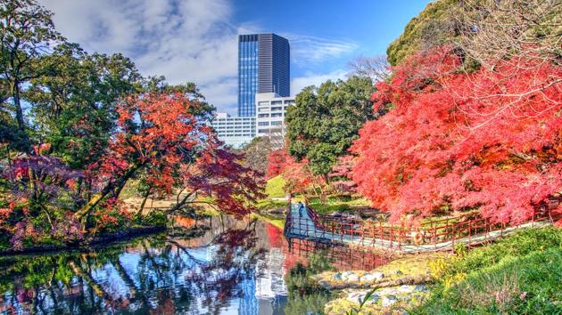 Koishikawa Korakuen Gardens, Tokyo: It is considered to be one of Tokyo’s oldest and best gardens. It has reproductions of famous landscapes in miniature, made using stones, trees and manmade hills to replicate Japanese and Chinese scenery. (Shutterstock) Koishikawa Korakuen Gardens, Tokyo: It is considered to be one of Tokyo’s oldest and best gardens. It has reproductions of famous landscapes in miniature, made using stones, trees and manmade hills to replicate Japanese and Chinese scenery. (Shutterstock)