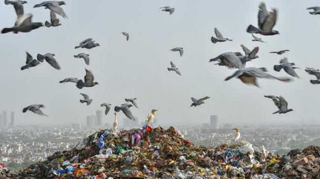Birds fly above a landfill site at Ghazipur, in East Delhi.(PTI File Photo)