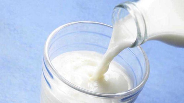 Nearly 7,000 litre spurious milk, 323 bags (50kg each) of skimmed powered milk, 250 litres of chemical used in making adulterated milk, 20 quintal cheese and 12 quintal ghee were seized Singla Milk Chilling Centre.(HT File Photo)
